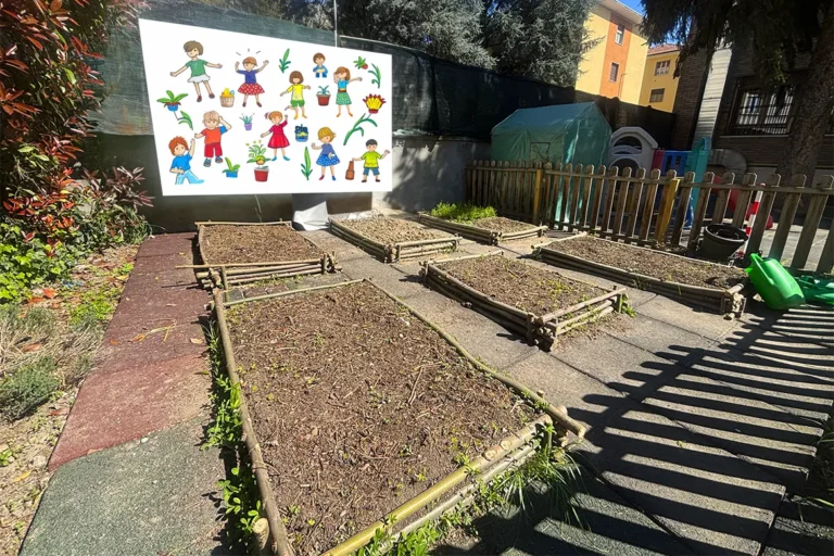 estate-sacro-cuore-2026